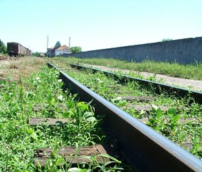 Un Australien passe sous un train et en sort indemne !