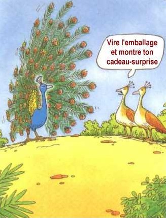 Méfiez-vous des apparences !