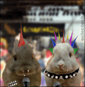 La punk attitude !