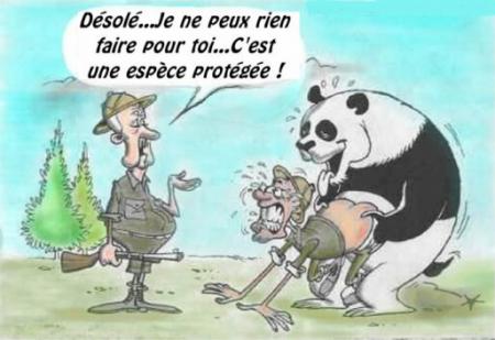 La loi c'est la loi !