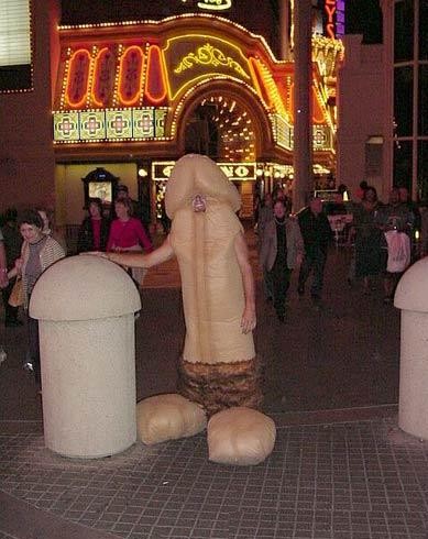 T'as le look coco !