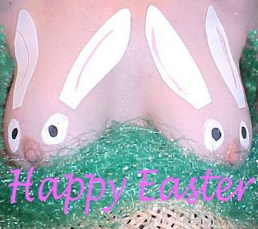 Oh les jolis petits lapins !