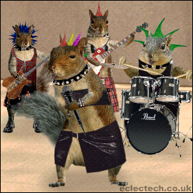 La punk attitude en concert !