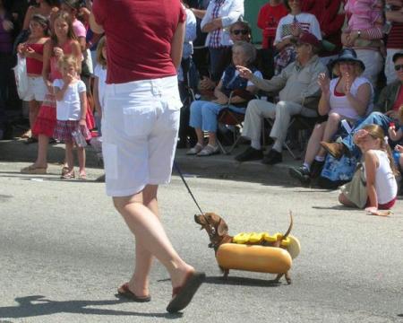 Qu'est-ce qu'un Hot Dog ?