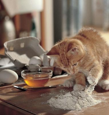 Prenez une souris bien grasse, de la farine, des oeufs......Chut ! C'est ma recette secrète !