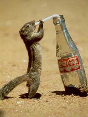 Et ben ! J'avais soif !