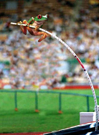 Superbe saut !
