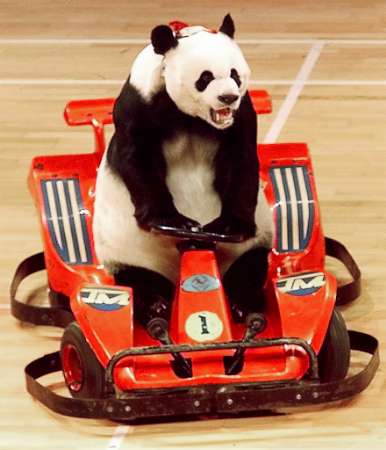 Sympa le karting !