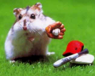 Vive le baseball !