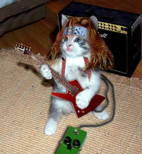 Chat Rocker