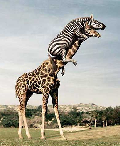 T'avais raison, on voit beaucoup plus loin !