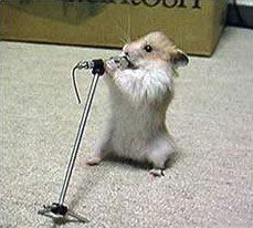 Hamster chanteur !