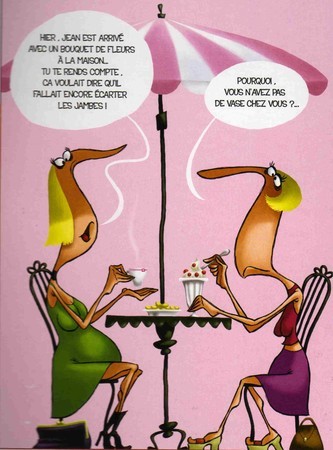 Bavardage de filles !