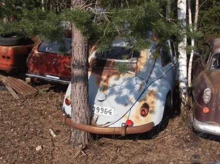 Voilà une voiture qui n'a pas roulée depuis bien longtemps !