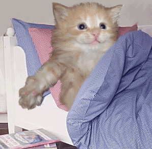 J'ai fait un gros dodo !