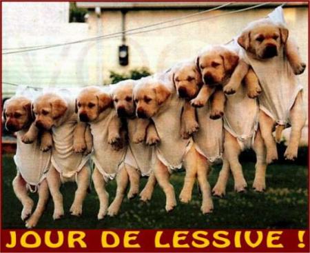 Trop chou !