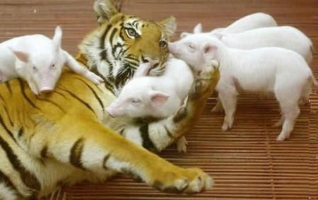 Brave maman !