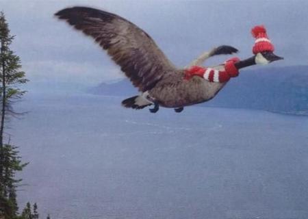 Ca caille en altitude !