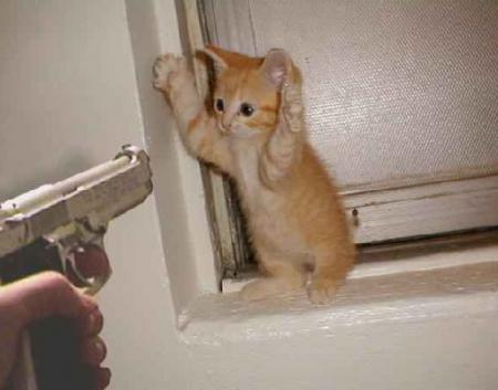 Ok ! je te dis où j'ai planqué la souris !