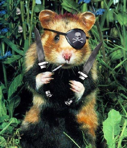 Pirates des Carabes 4