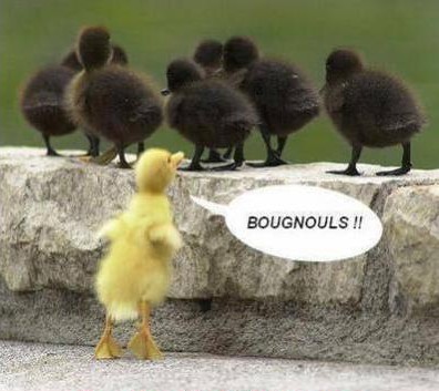 C'est pas gentil !
