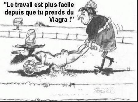 Le viagra peut-être rentable 
