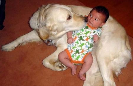 Mamam ! C'est normal comme il me regarde ??