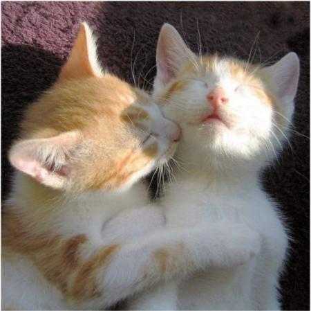 OH oui ! Dis-moi encore des mots doux !