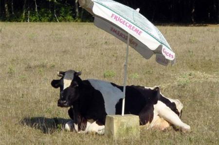 Ben quoi ! je bosse assez toute l'année, j'ai le droit de prendre mes vacances