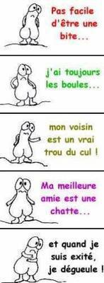 C'est pas facile tous les jours !