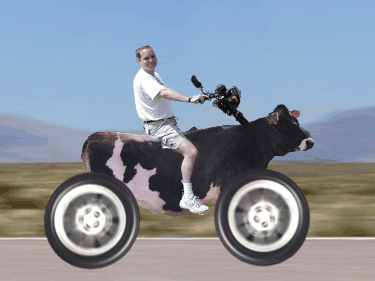 Le Cowboy moderne !
