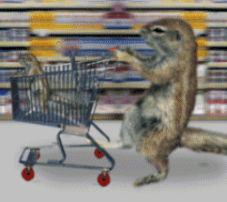 Vive les courses !