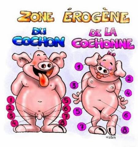 Et chez l'humain ?