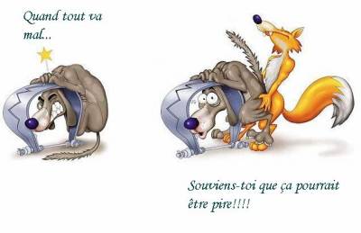 Citation