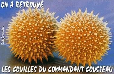Que voulez-vous que je vous dise ?
