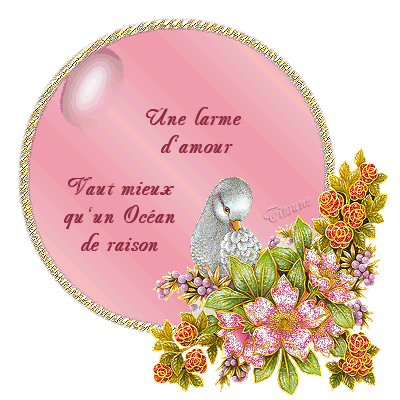 Pensée du jour