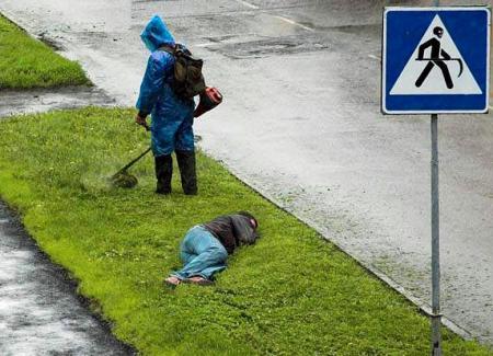 Attention à la faucheuse !