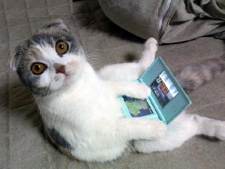 A chacun ses jeux !