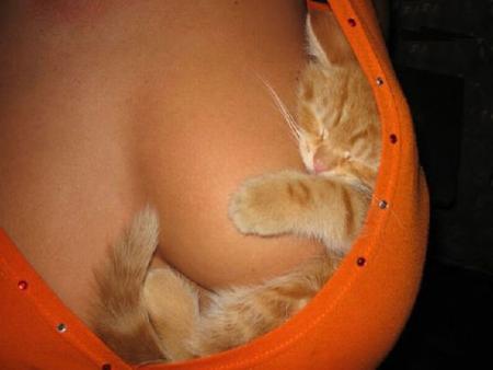 AH ! ce qu'on est bien ! Zzzzzzz