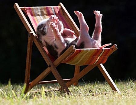 Vive les vacances !