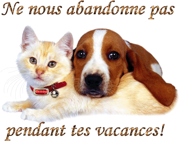 L'abandon est un acte de maltraitance !