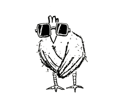 Et toi !  Regarde un peu ce qu'est une poulette ! Pas mal non ?