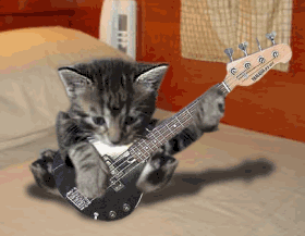 Blues Cats !