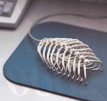 Un nouveau virus a attaqué ma souris !