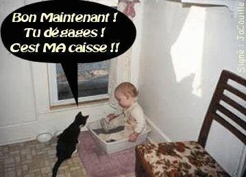 Non mais dès fois !