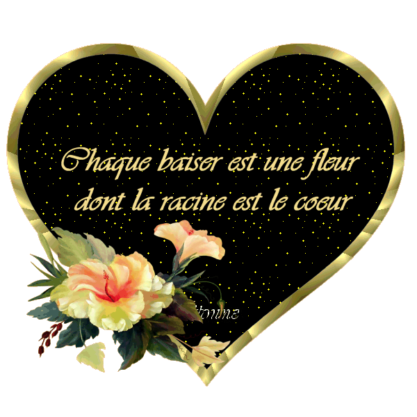 Dicton du jour !