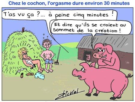 Point de vue entre cochons !