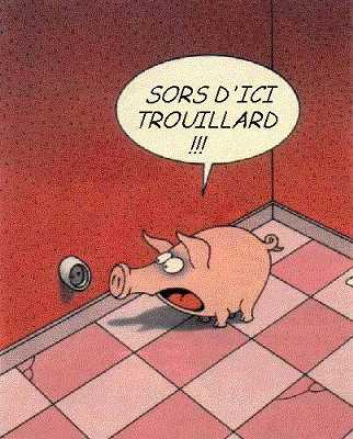 Bigleux petit cochon !