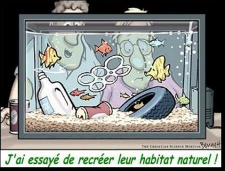 Pauvres poissons !