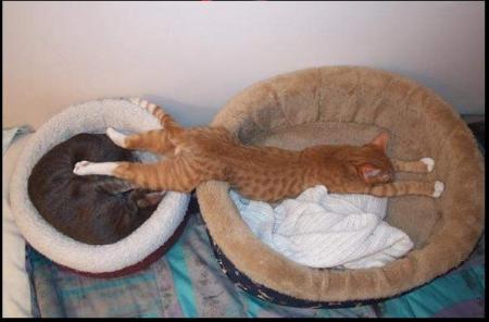 Comment voulez-vous que je dorme bien dans ces conditions !